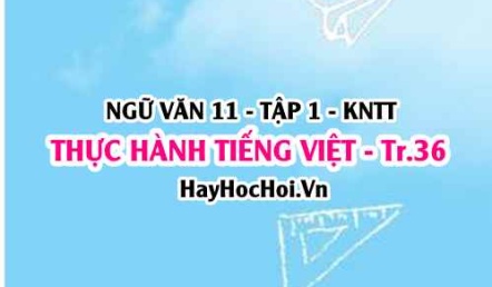 Soạn bài Thực hành tiếng Việt trang 36 Ngữ văn lớp 11 Kết nối tri thức tập 1